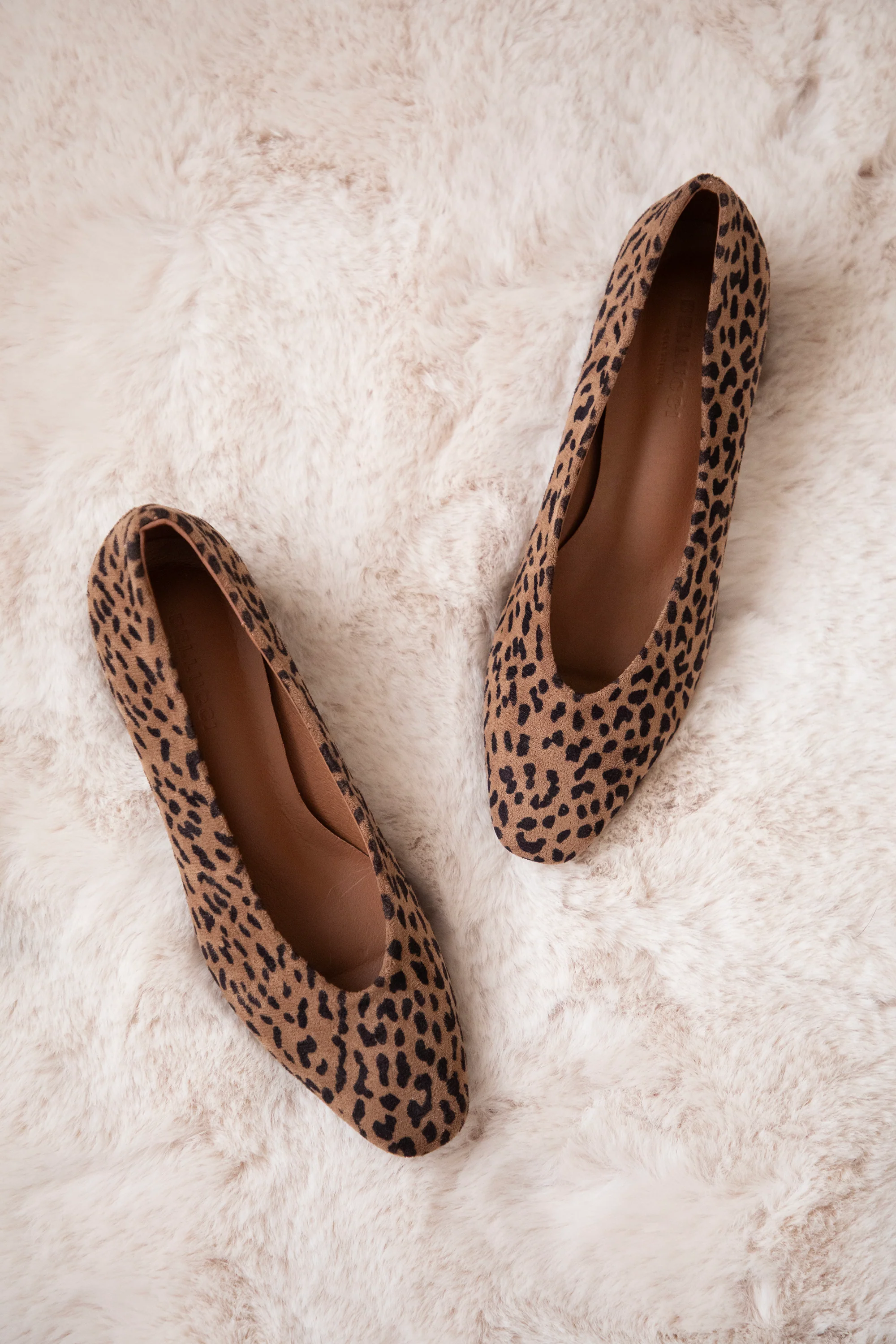 Bonny Leo Suede Camel - Heels - Image 10