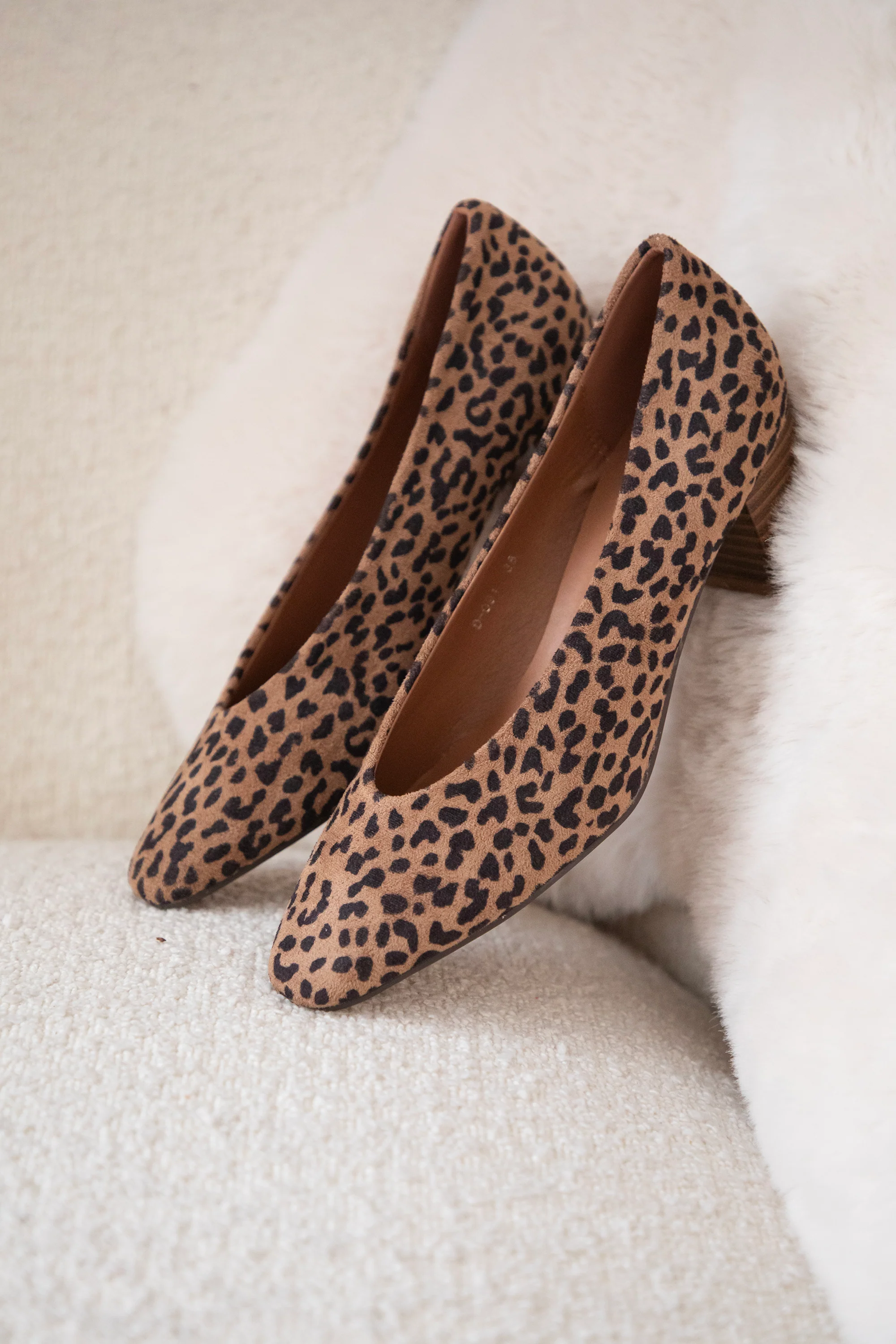 Bonny Leo Suede Camel - Heels - Image 6