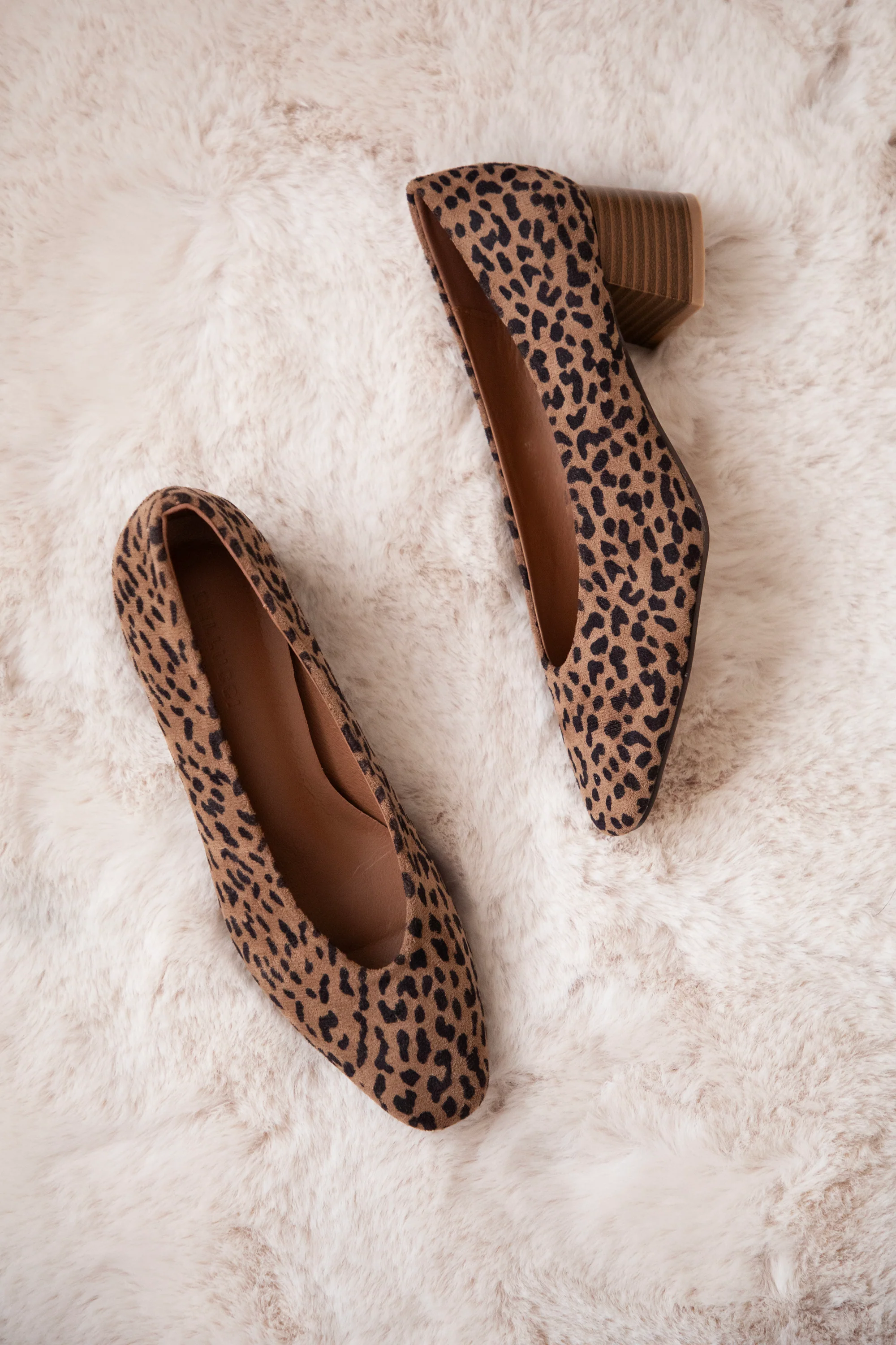 Bonny Leo Suede Camel - Heels - Image 9