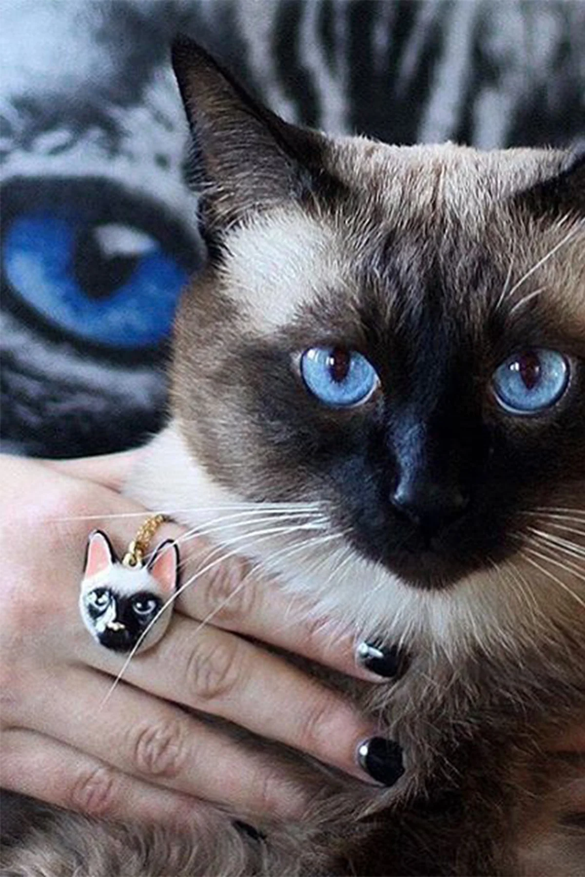 Dalah Cat Beige/Black - Ring - Image 13