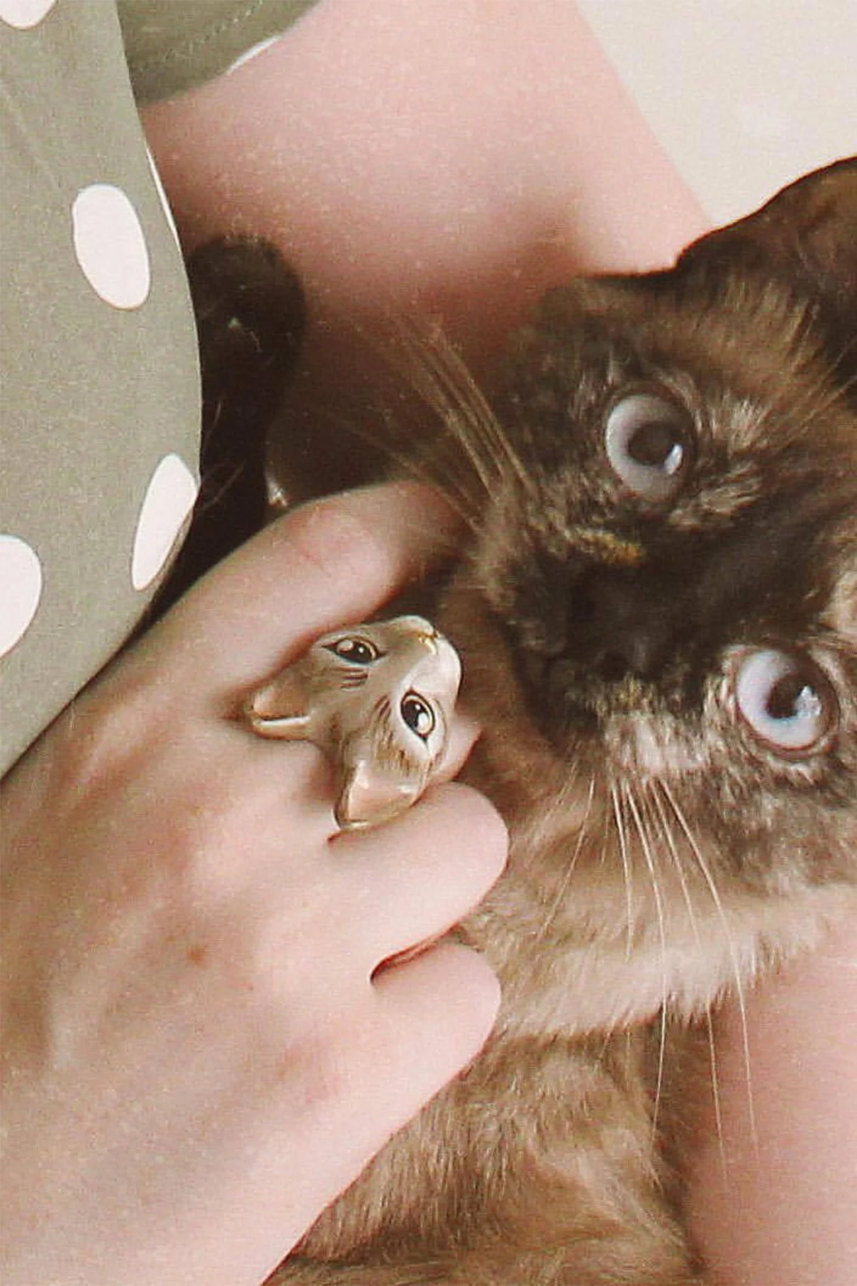 Mok Cat Brown - Ring - Image 7